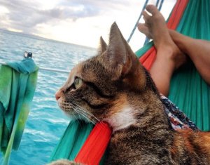 woman at sea tw 2516