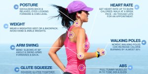 walking calories tw 23616