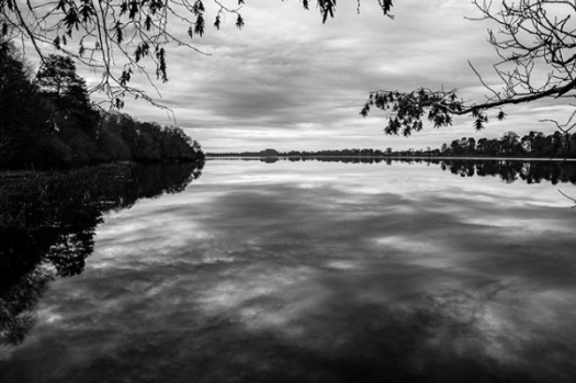 Screenshot_2020-02-25 #loughrynncastle hashtag on Instagram • Photos and Videos