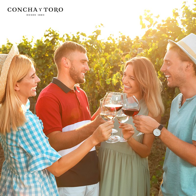 concha winery